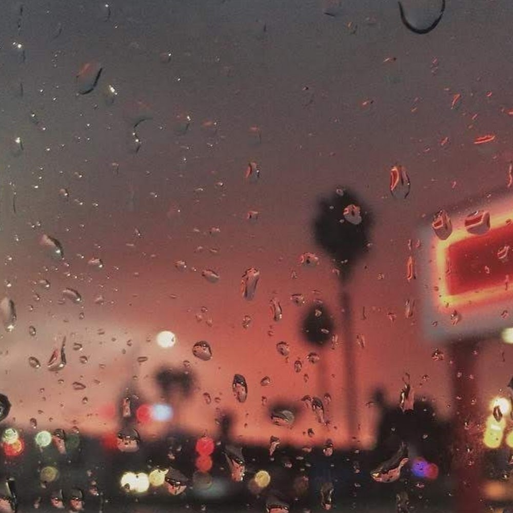 Meet your Posher, Jaelynn